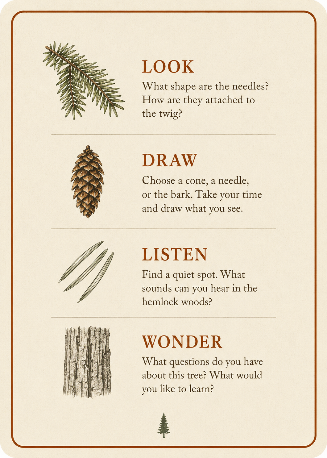 Back of a card showing the four prompts: Look, Draw, Listen, Wonder, each with a small line illustration and a one-sentence cue.